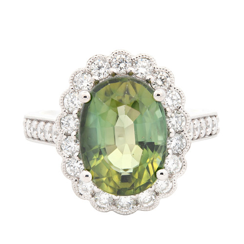 TE88976/OV-MINT/0434246C- MINT TOU-4.09 D-080